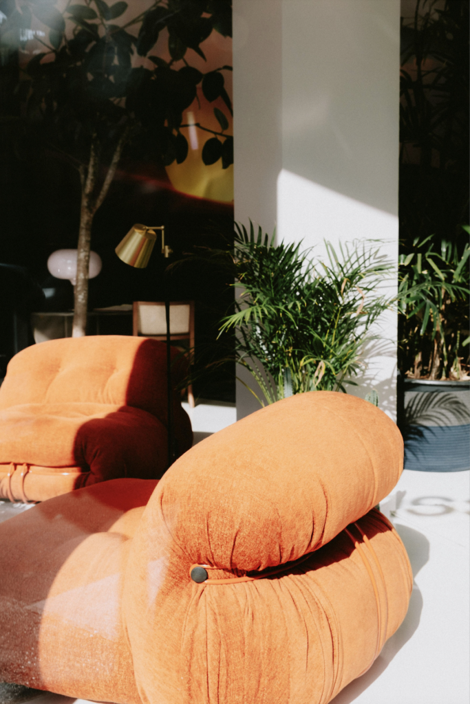 Warm Earthy Tones and Curves: The 2026 Home Decor Trends Worth Embracing